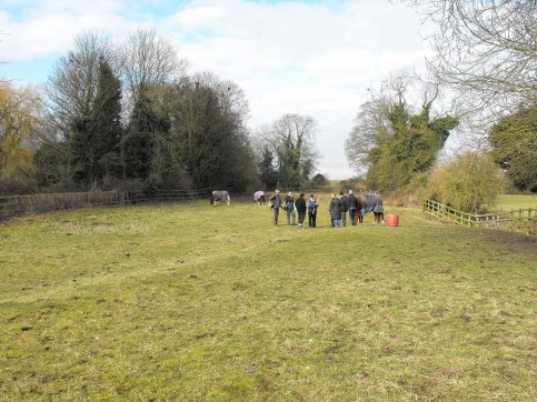 2012 Volunteers getting ready to survey the house platform in the foreground, with help from the horses.