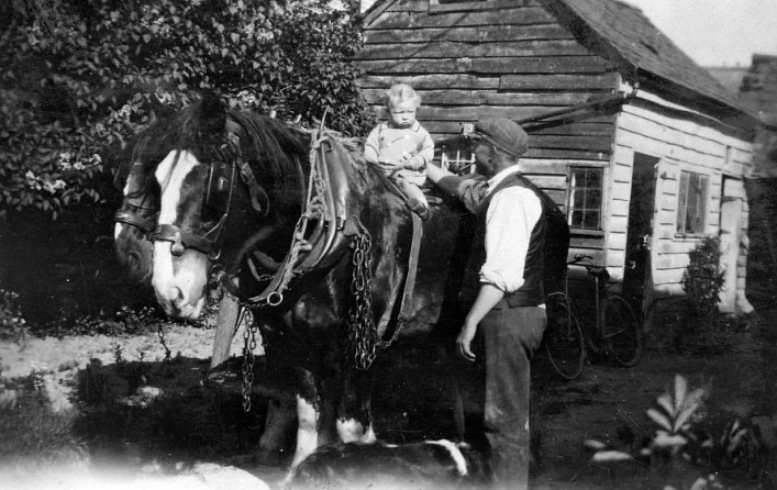 Jimmy Hoye seen here at Woodbine with Ken Burton on Mervyn , one of Harry's best horses. Jimmy worked for Harry Handscombe on his smallholding down Hambridge Way.