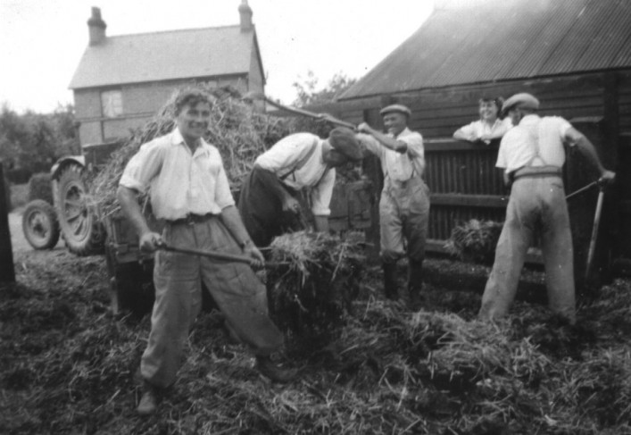 1950s The cattle yard of Elm Tree Farm was often knee deep in dung. The work gang filled the cart and the dung was taken to be spread on the potato fields. L-R: Ken Walker, Tom Burton, Phil Walker, Joyce Walker, and Johnny Kingsley. In the background is the house on Royal Oak Lane where Ken was born. The cattle yard is where numbers 5, 7and 9, Hambridge Way were built in the 1980s.