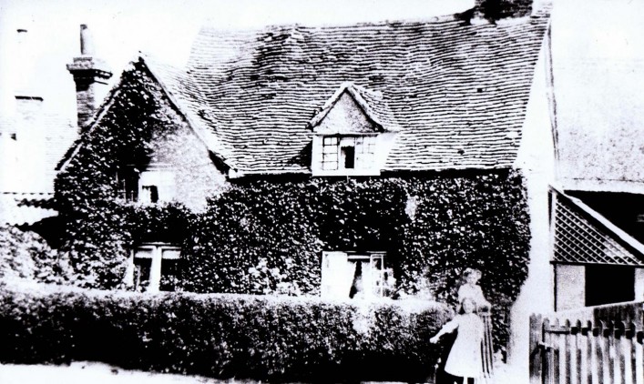 ivy cottage