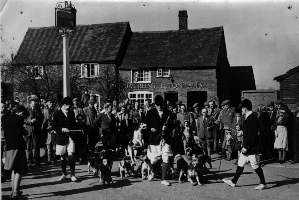 The beagle hunt meeting in 1954