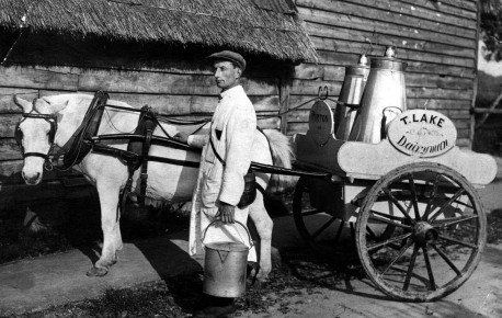 1926 Tom Lake, Pirton’s first milkman, with his churns, pails and measuring jugs. He delivered milk twice a day as there were no fridges to keep milk cool. Milk was “straight from the cow” and was not pasteurised as is now required by health legislation. 1926 Tom Lake, Pirton’s first milkman, with his churns, pails and measuring jugs. He delivered milk twice a day as there were no fridges to keep milk cool. Milk was “straight from the cow” and was not pasteurised as is now required by health legislation.